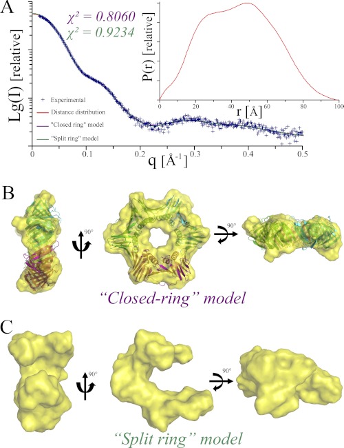 FIGURE 2.