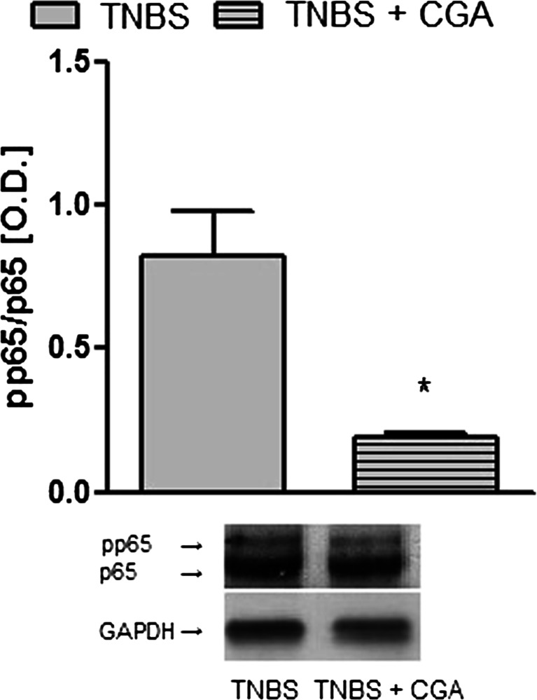 Fig. 8