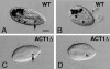 FIG. 6.
