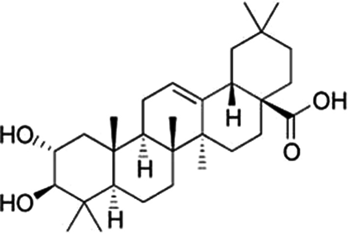 Fig. 1