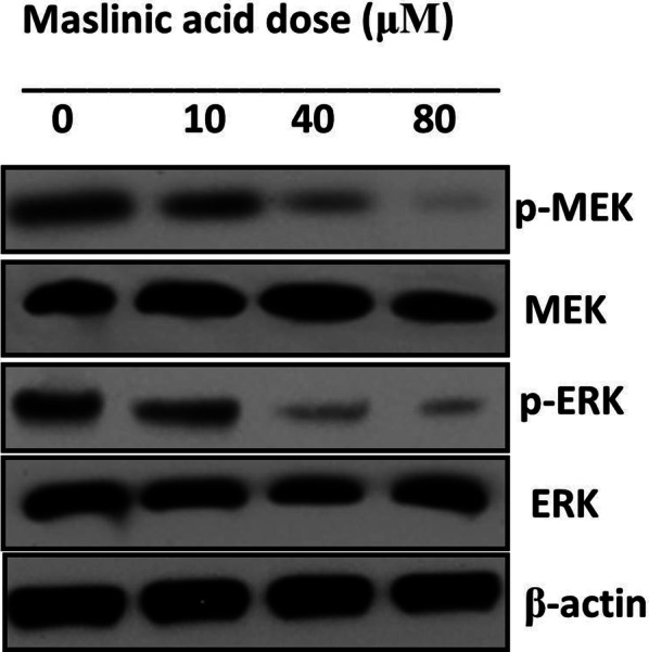 Fig. 10