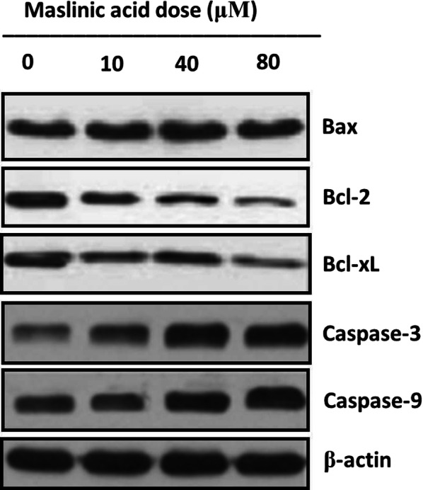 Fig. 6