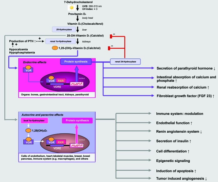 graphic file with name de-5-331-g1.jpg