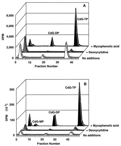 FIG. 1