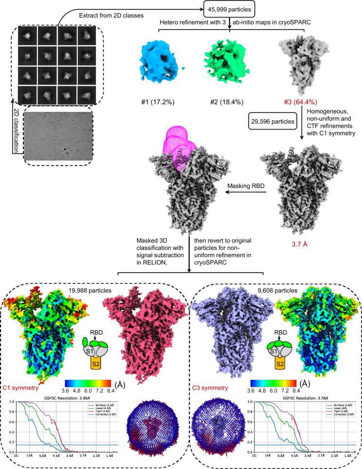 Figure 2—figure supplement 2.