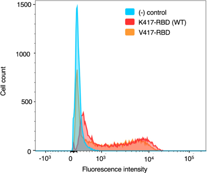 Figure 5—figure supplement 1.