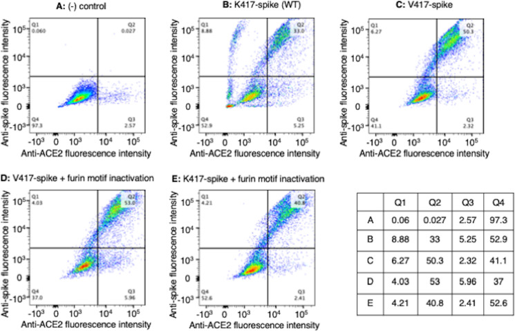 Figure 3—figure supplement 1.