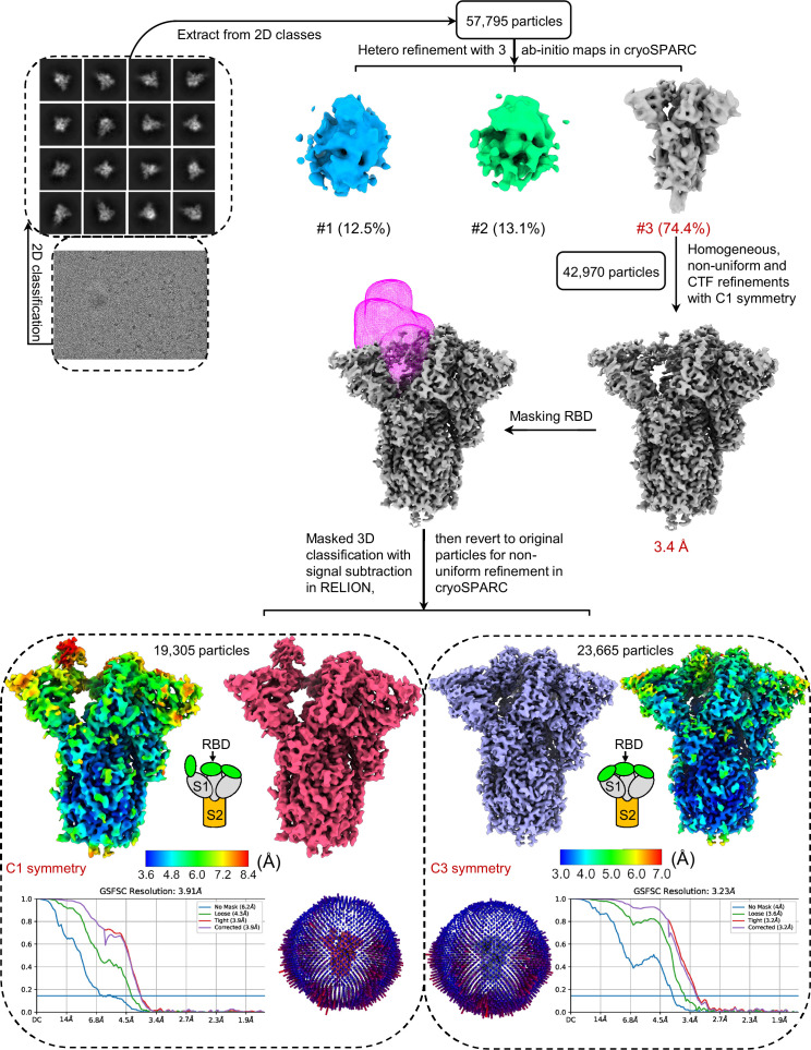 Figure 2—figure supplement 1.