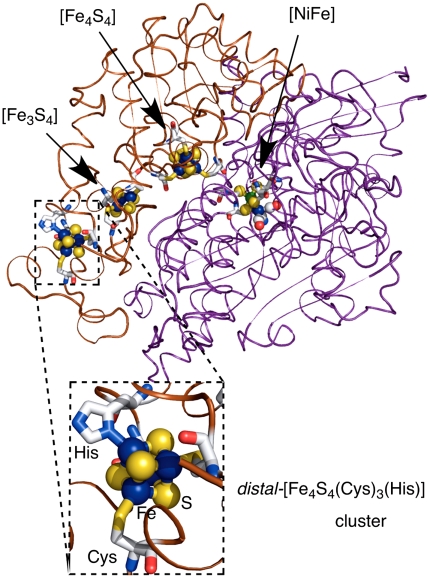 Fig. 1.