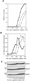 FIG. 6