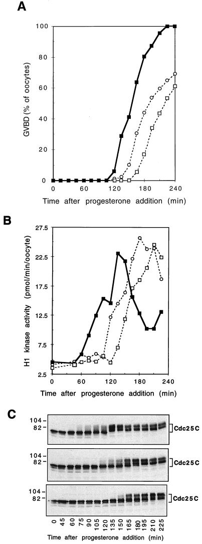 FIG. 6