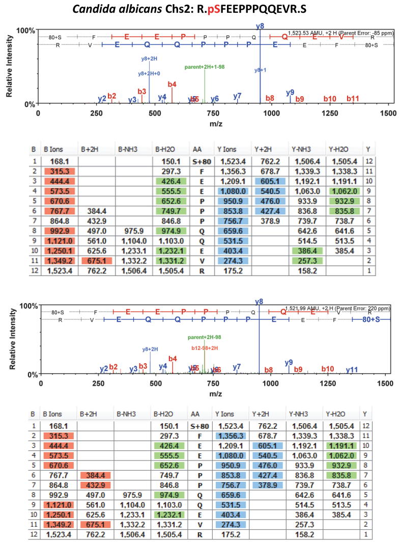 Supplementary Fig. S1