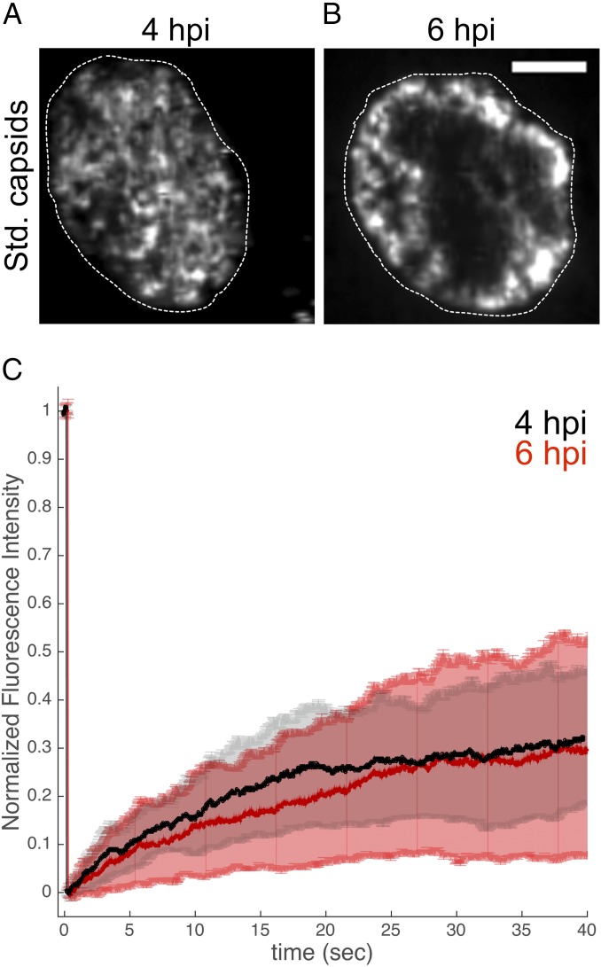 Fig. 6.