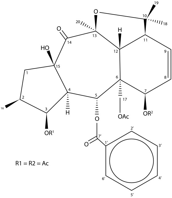 Figure 8