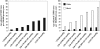 Figure 2)