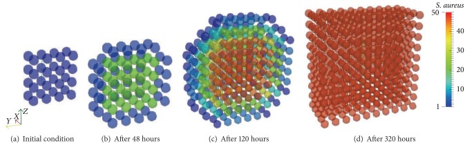 Figure 4