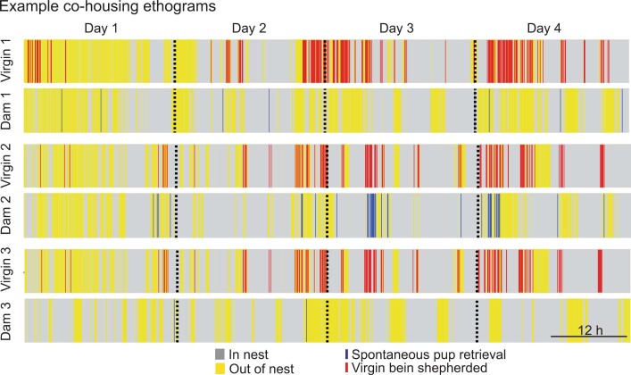 Extended Data Fig. 1