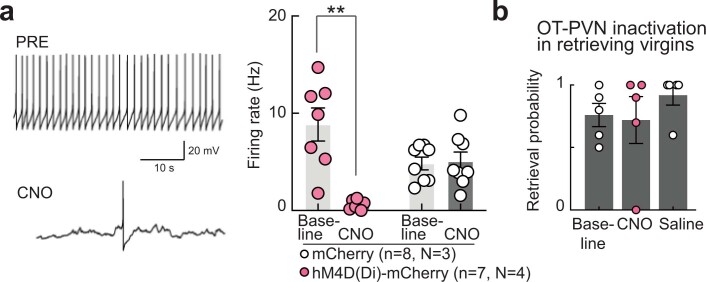 Extended Data Fig. 4