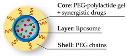 graphic file with name pharmaceutics-11-00071-i006.jpg