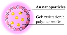 graphic file with name pharmaceutics-11-00071-i011.jpg