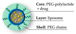 graphic file with name pharmaceutics-11-00071-i007.jpg