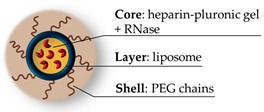 graphic file with name pharmaceutics-11-00071-i008.jpg