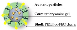 graphic file with name pharmaceutics-11-00071-i001.jpg