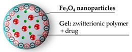 graphic file with name pharmaceutics-11-00071-i010.jpg