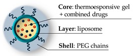 graphic file with name pharmaceutics-11-00071-i009.jpg