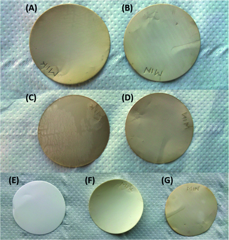 Fig. 10