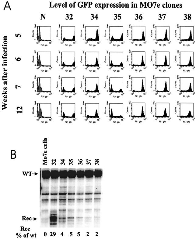 FIG. 5.