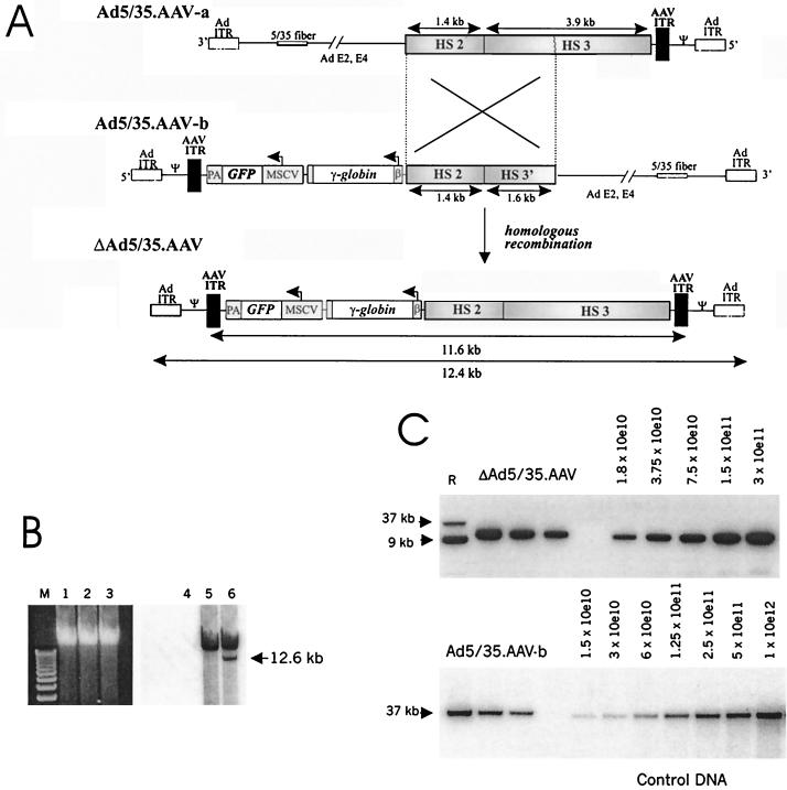 FIG. 1.