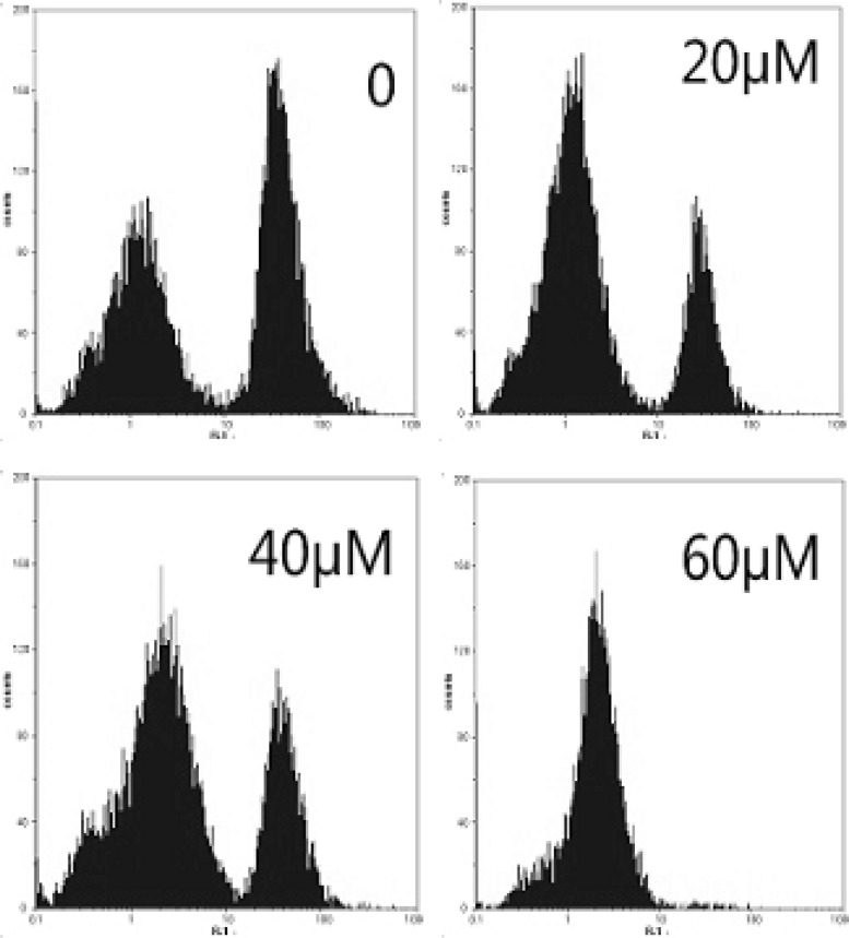 Figure 5A