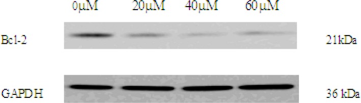 Figure 5B