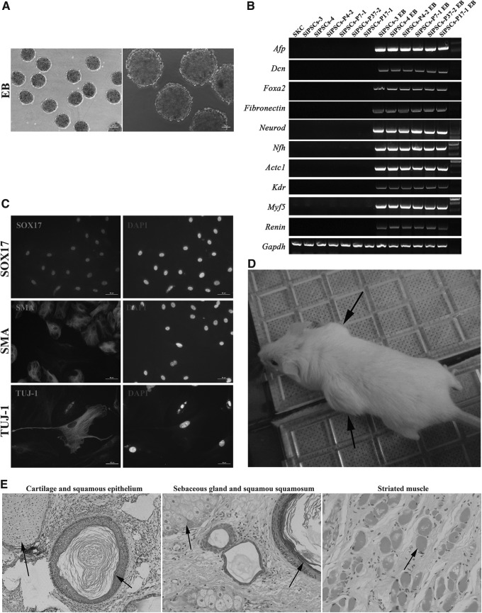 FIG. 6.