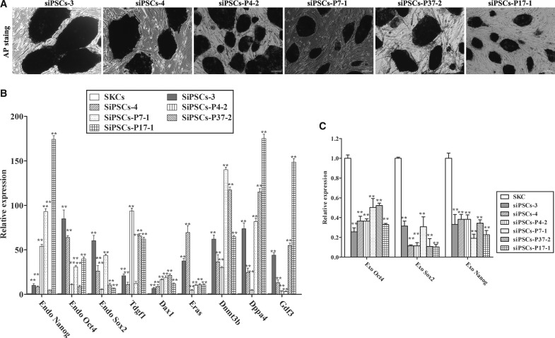 FIG. 4.