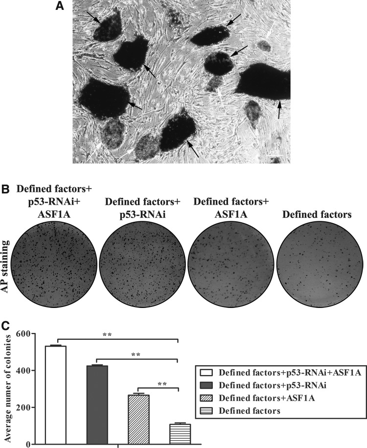 FIG. 3.