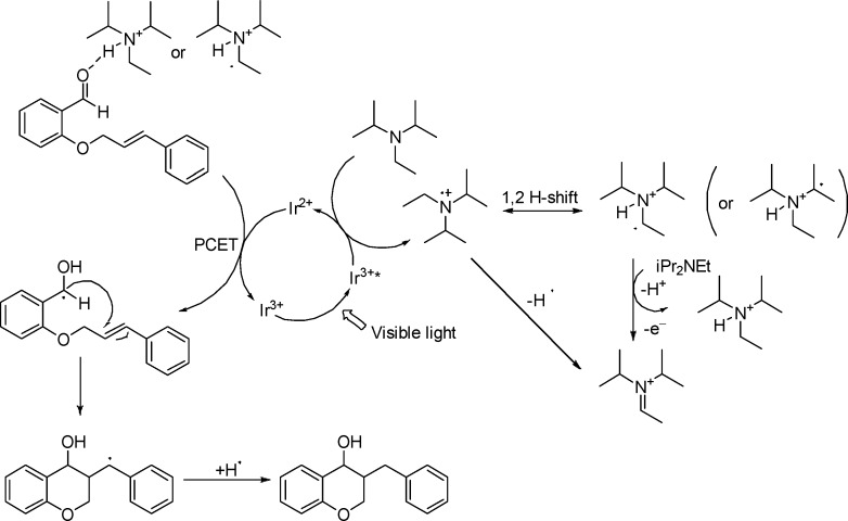 Scheme 2