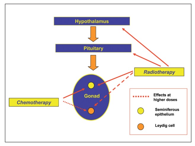 Figure 2.