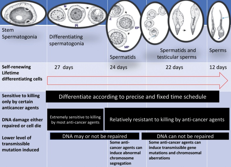 Figure 3.