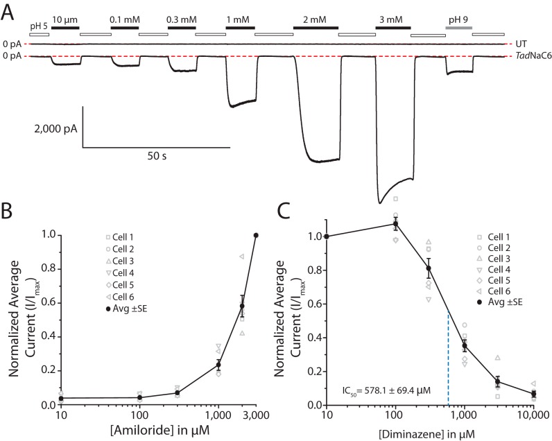 Figure 7.