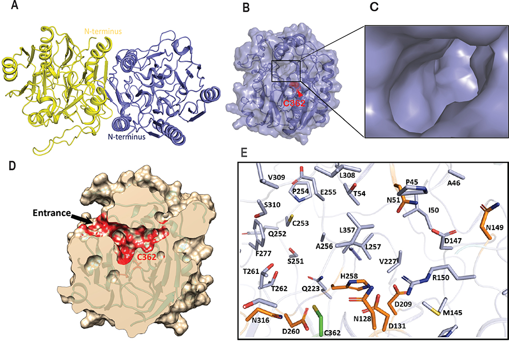 Figure 4.