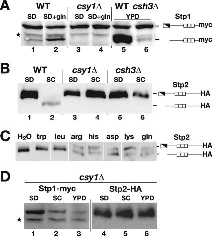 FIG. 3.