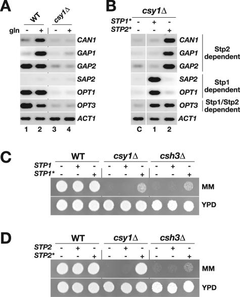 FIG. 4.