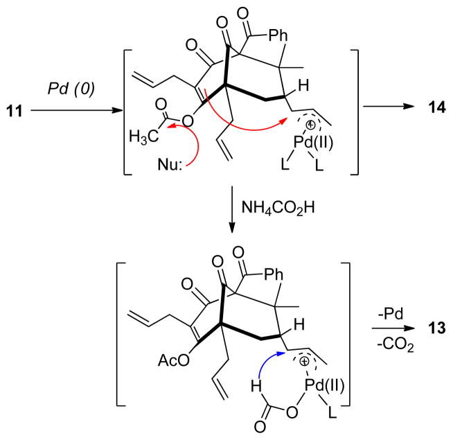 Scheme 2