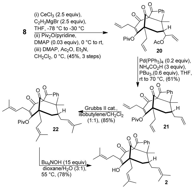 Scheme 4