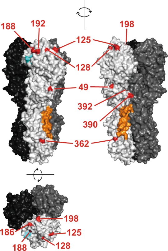 Fig. 2