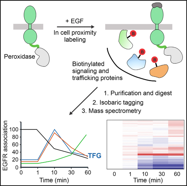graphic file with name nihms-1816591-f0001.jpg