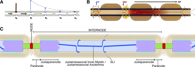 Fig. 1.