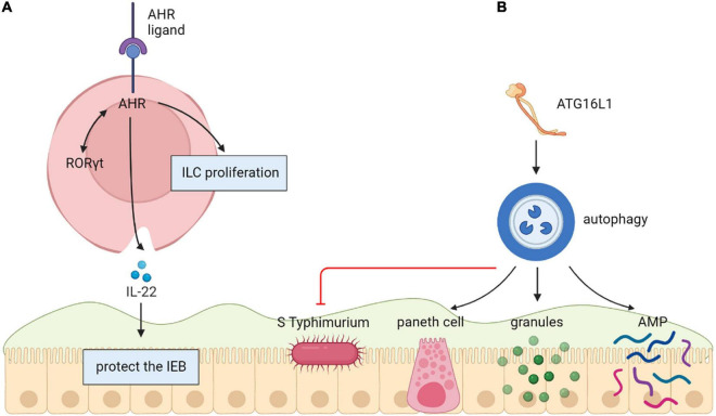 FIGURE 3